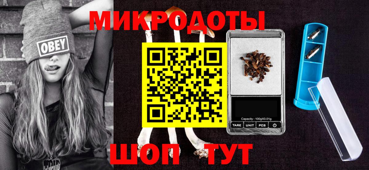 Галлюциногенные грибы Psilocybine cubensis  Вход с VPN  Борзя 